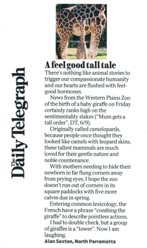 A feel good tall tale